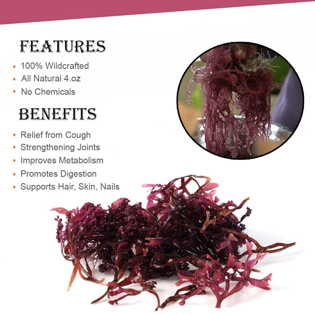 Everything You Need to Know About Purple Sea Moss Goodies Are Us